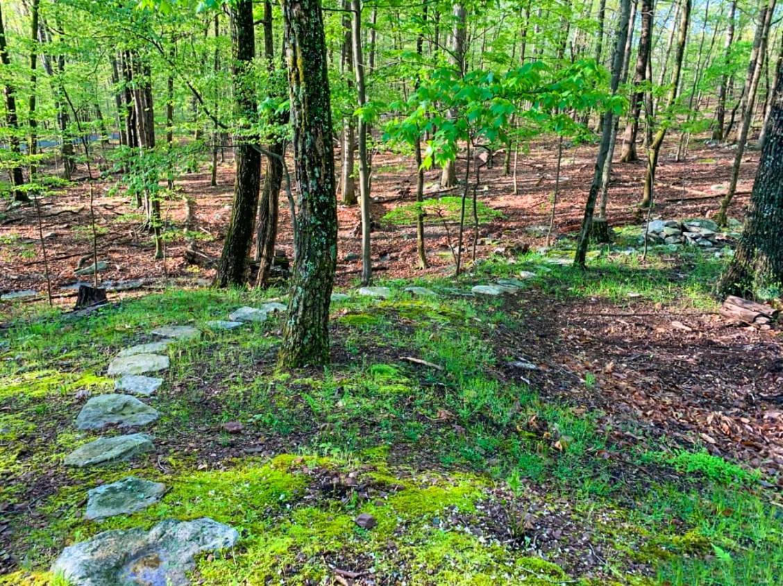 Hot Tub, Community Pool, Grill, Wifi - Huge Cabin! Villa Berkeley Springs Exterior photo